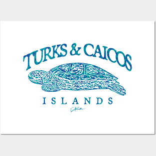 Turks & Caicos Islands Sea Turtle Posters and Art